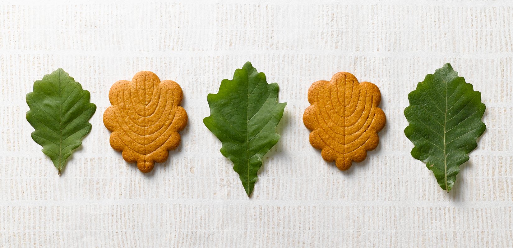 福かしわ 札幌の洋菓子スイーツ きのとやオンラインショップ 福かしわ 札幌の洋菓子スイーツ きのとやオンラインショップ