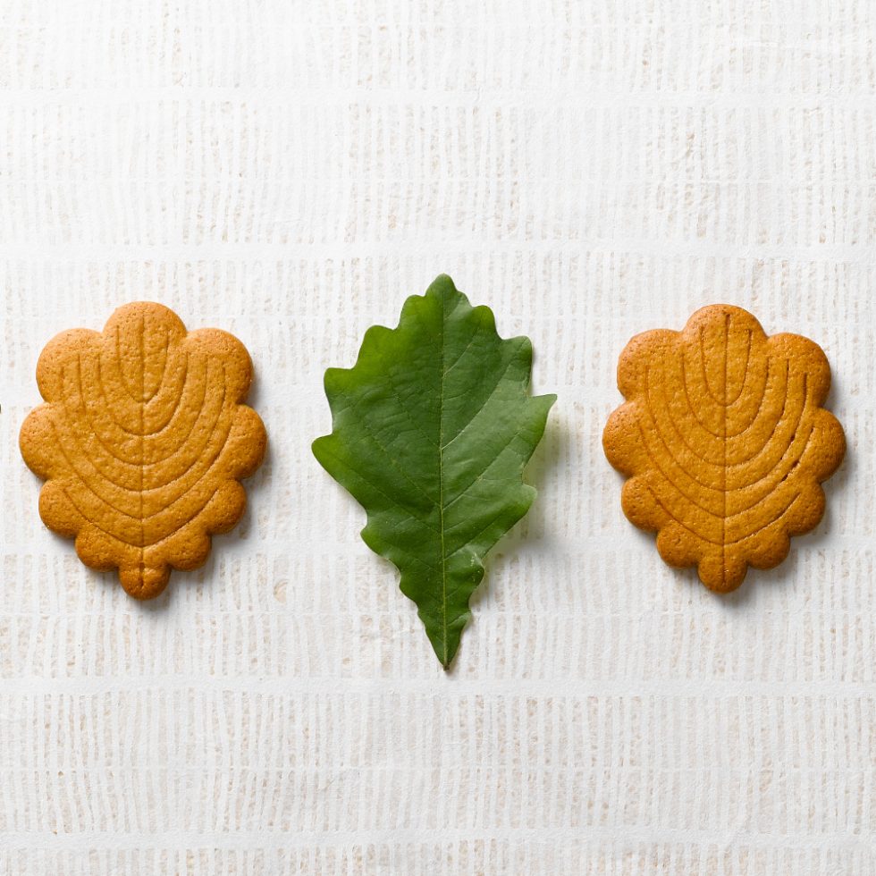 福かしわ - 札幌の洋菓子スイーツ きのとやオンラインショップ